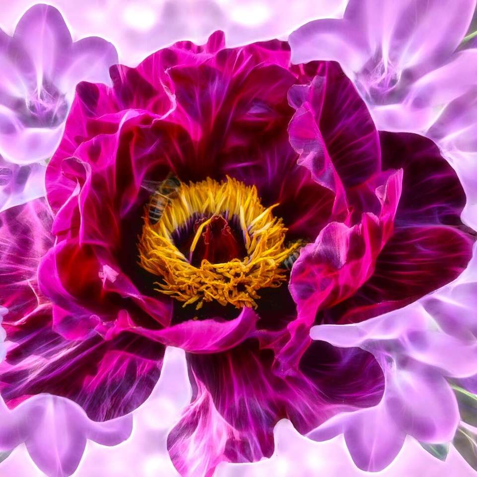 Γραφικά λουλουδιών παπαρούνας παζλ online