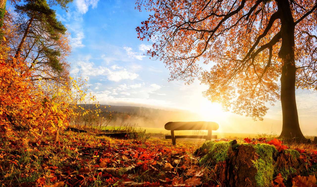 Höstlandskap med solen belyser varmt en bänk under ett träd, massor av guldlöv och blå himmel Pussel online