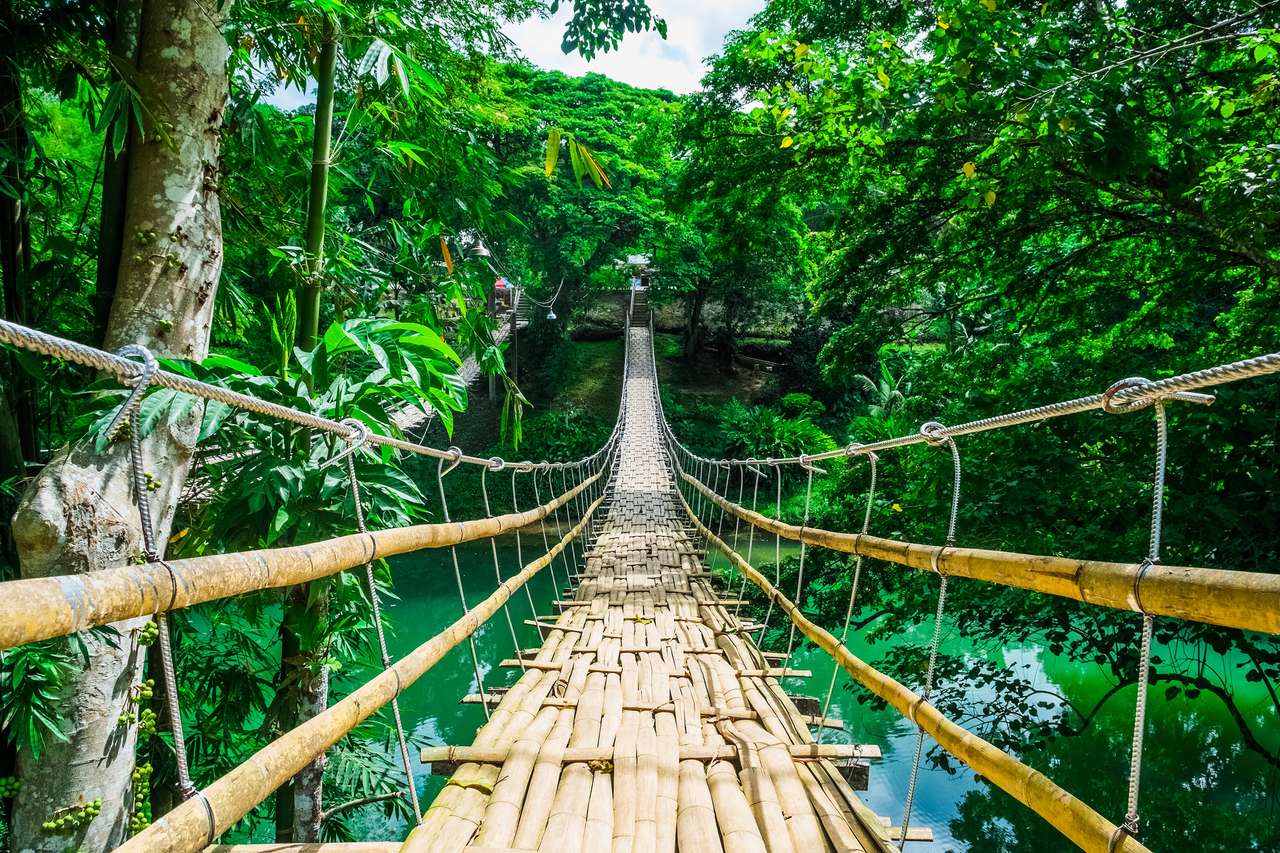 Puente de suspensión peatonal de bambú sobre el río en el bosque tropical, Bohol, Filipinas rompecabezas en línea