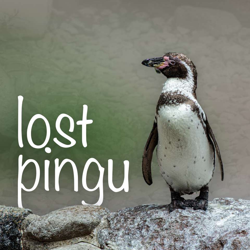 Pingüino se ve perdido rompecabezas en línea