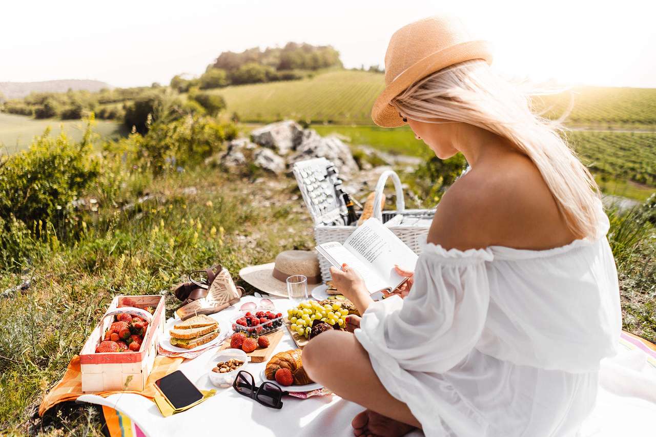 Picnic jigsaw puzzle online