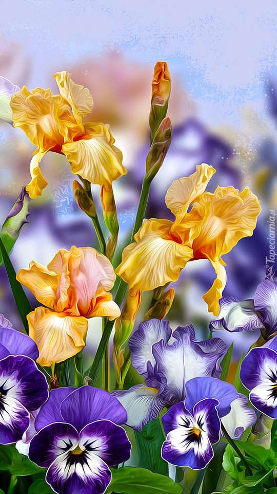 Iris och pansies Pussel online