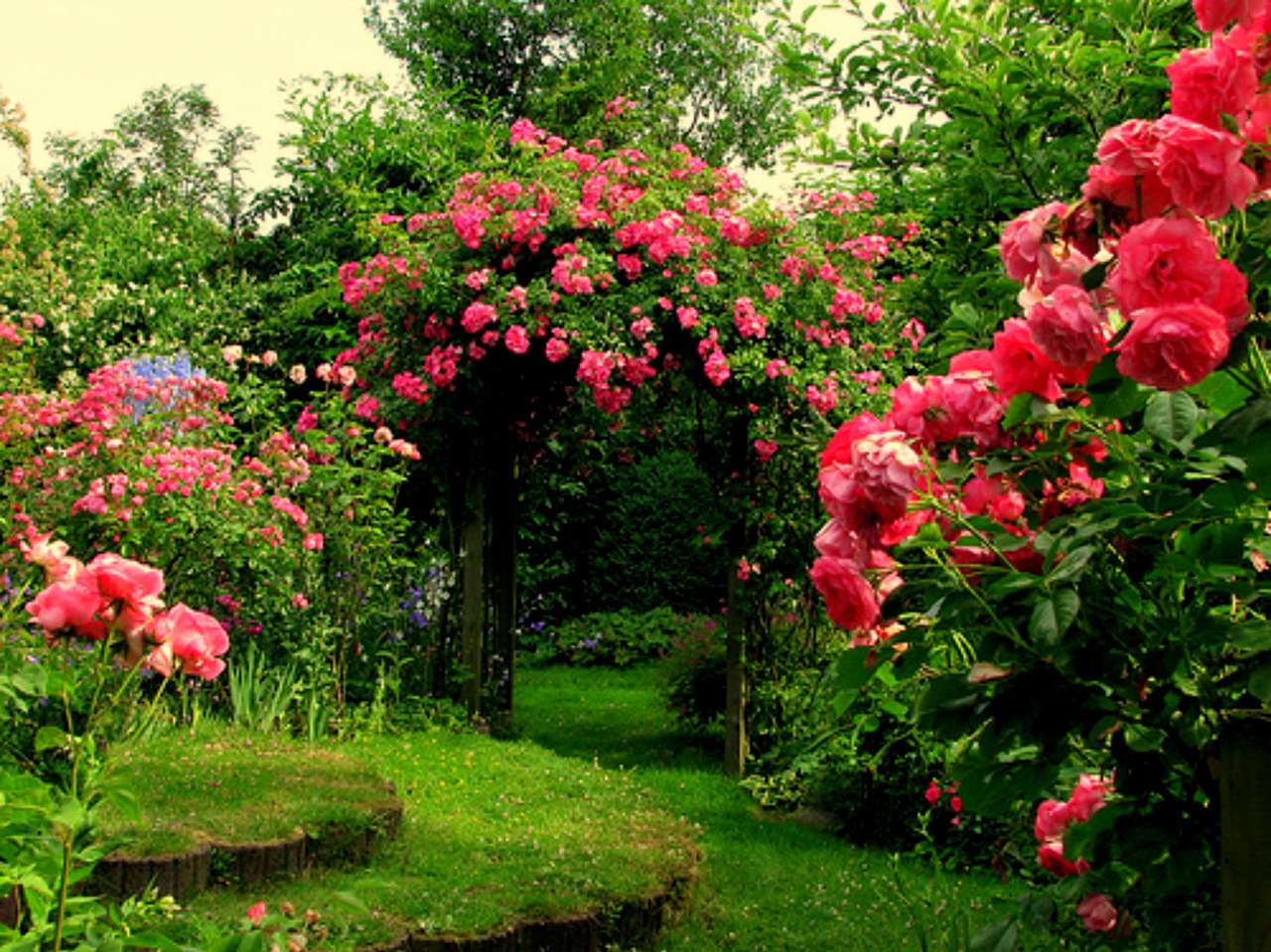 Rhododendrons. skládačky online