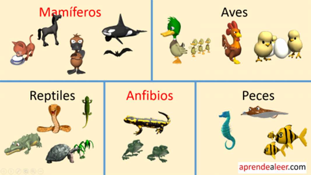 Animali vertebrati. puzzle online