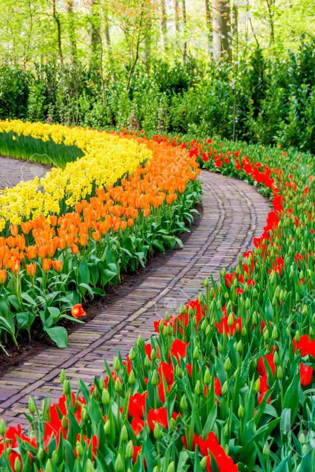 Jardin avec des tulipes puzzle en ligne