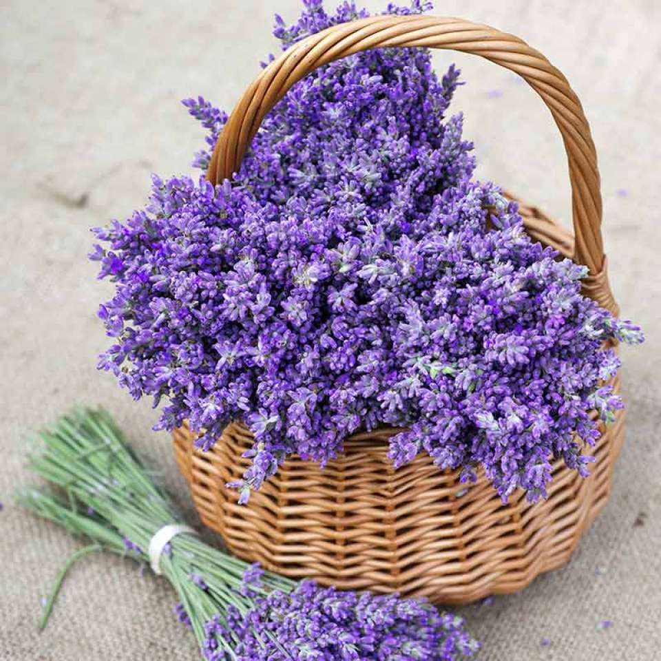 Lavender in a basket jigsaw puzzle online