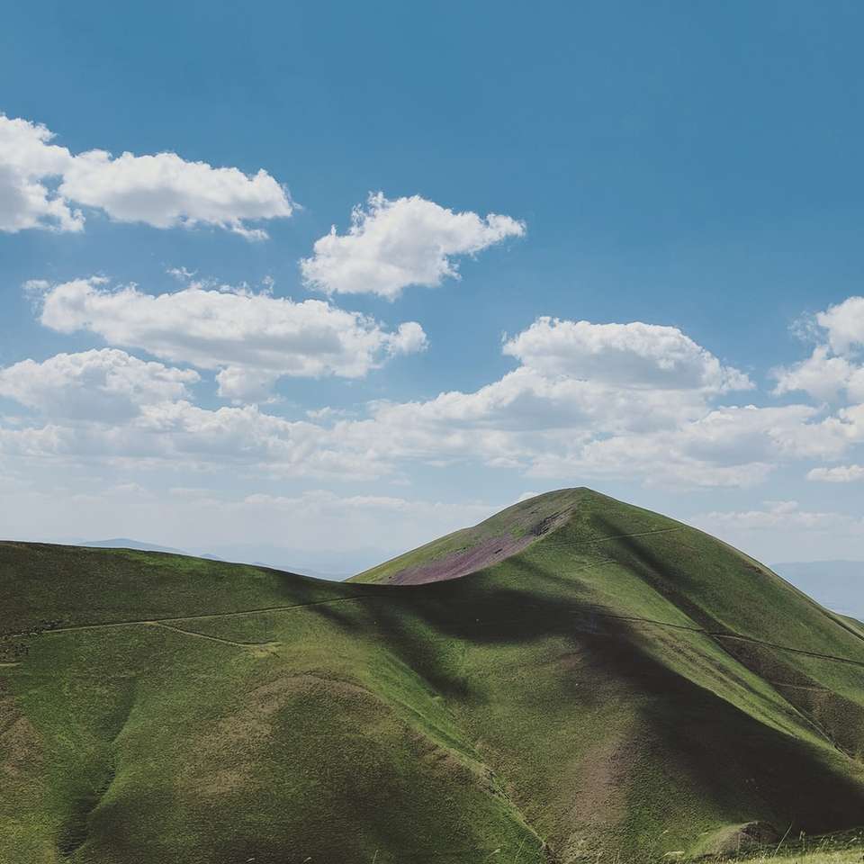 Närbild Foto av grönt berg pussel på nätet