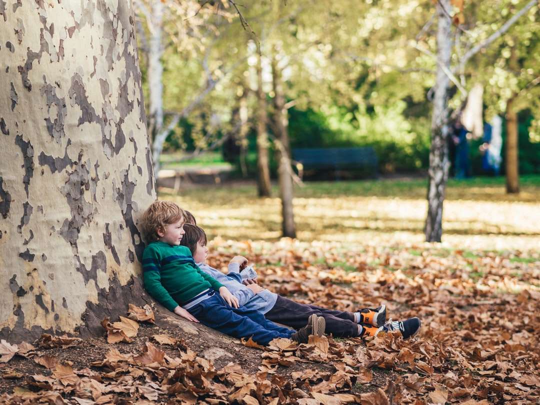 乾燥した葉で地面に座っている2人の子供 ジグソーパズルオンライン