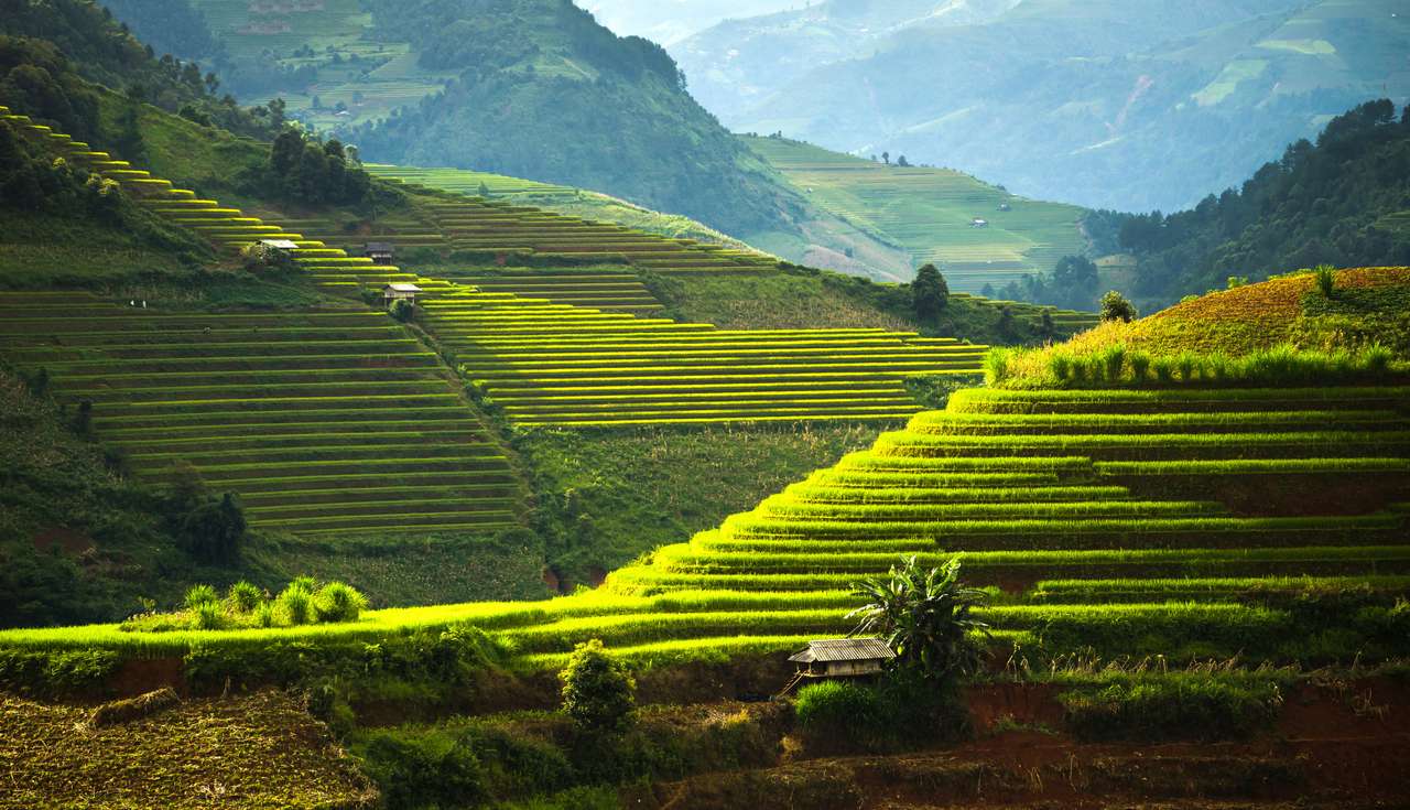 Světové dědictví ifugao rýžové terasy skládačky online