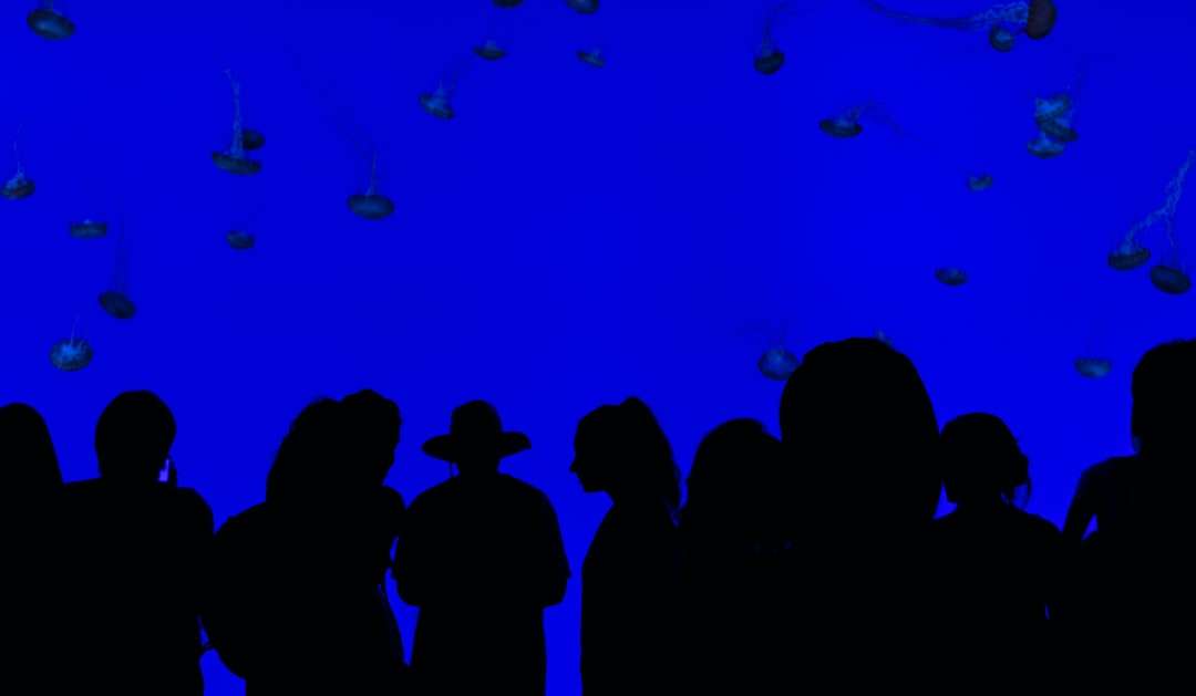siluety lidí s modrým pozadím skládačky online