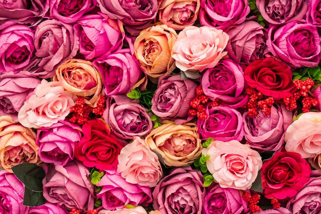 Rosa och gula rosor i närbild Pussel online