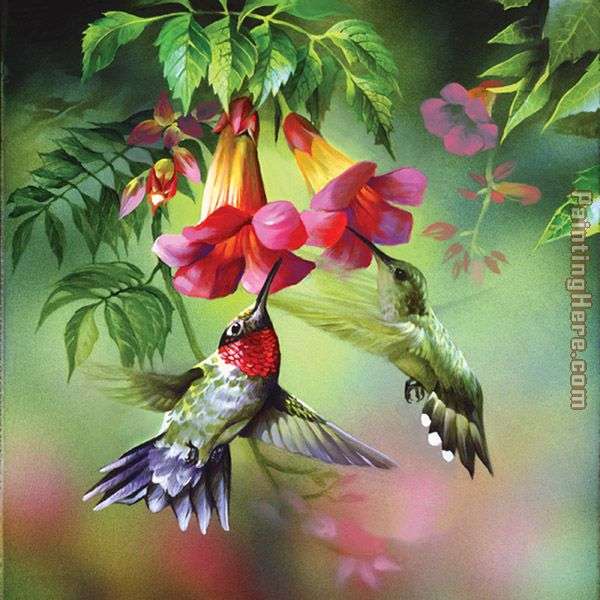 Kolibri. online puzzle