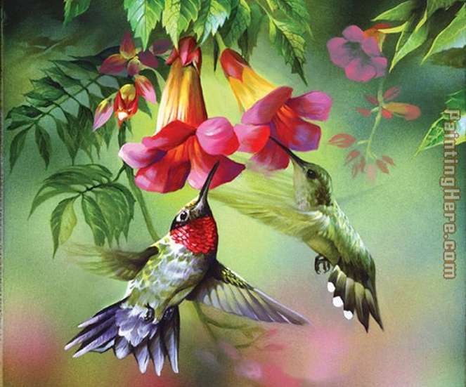 Colibrì. puzzle online