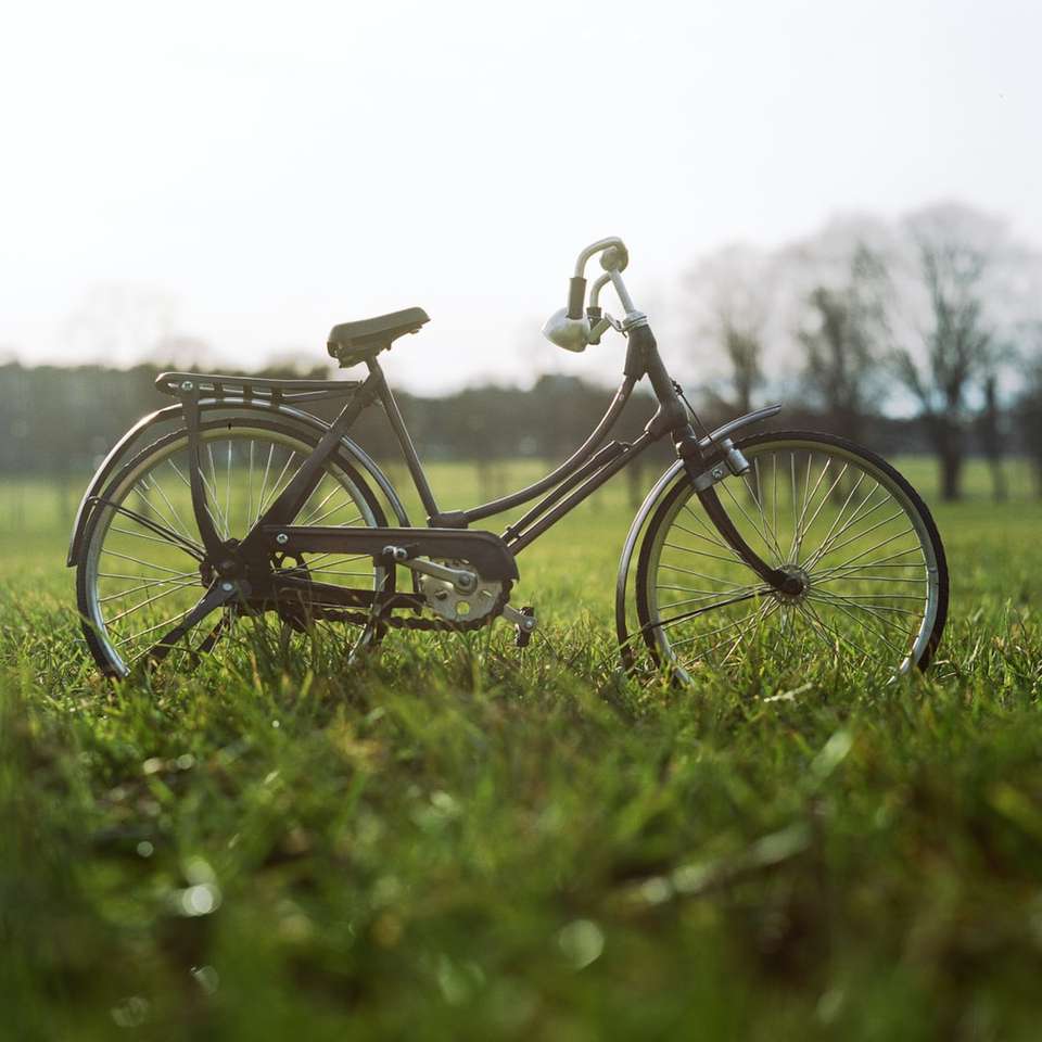 Bici de la ciudad negra en el campo de hierba verde durante el día rompecabezas en línea