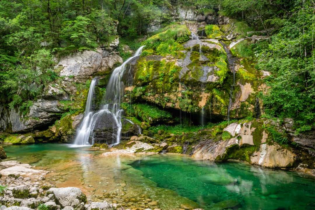 Водопади в гората онлайн пъзел