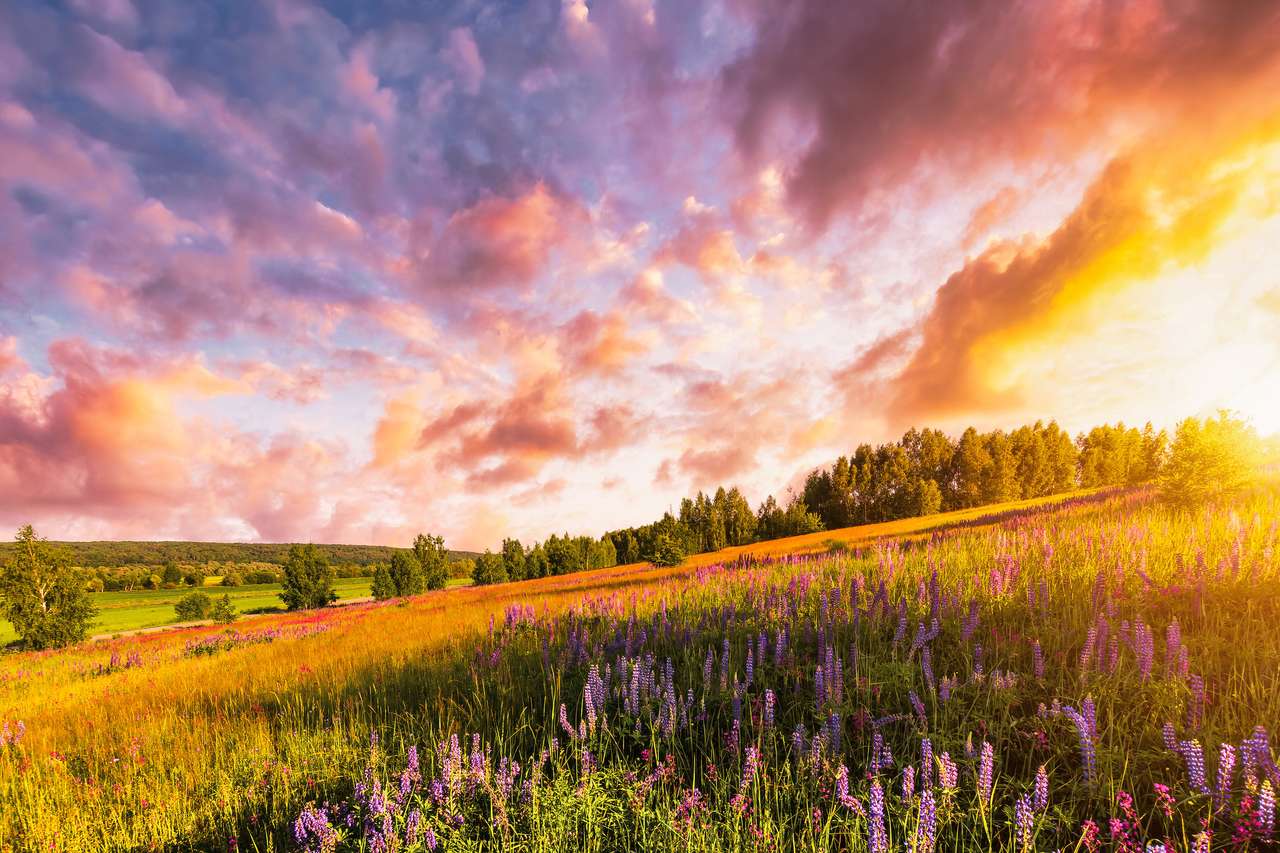 фиолетовый дикие люпины и полевые цветы пазл онлайн