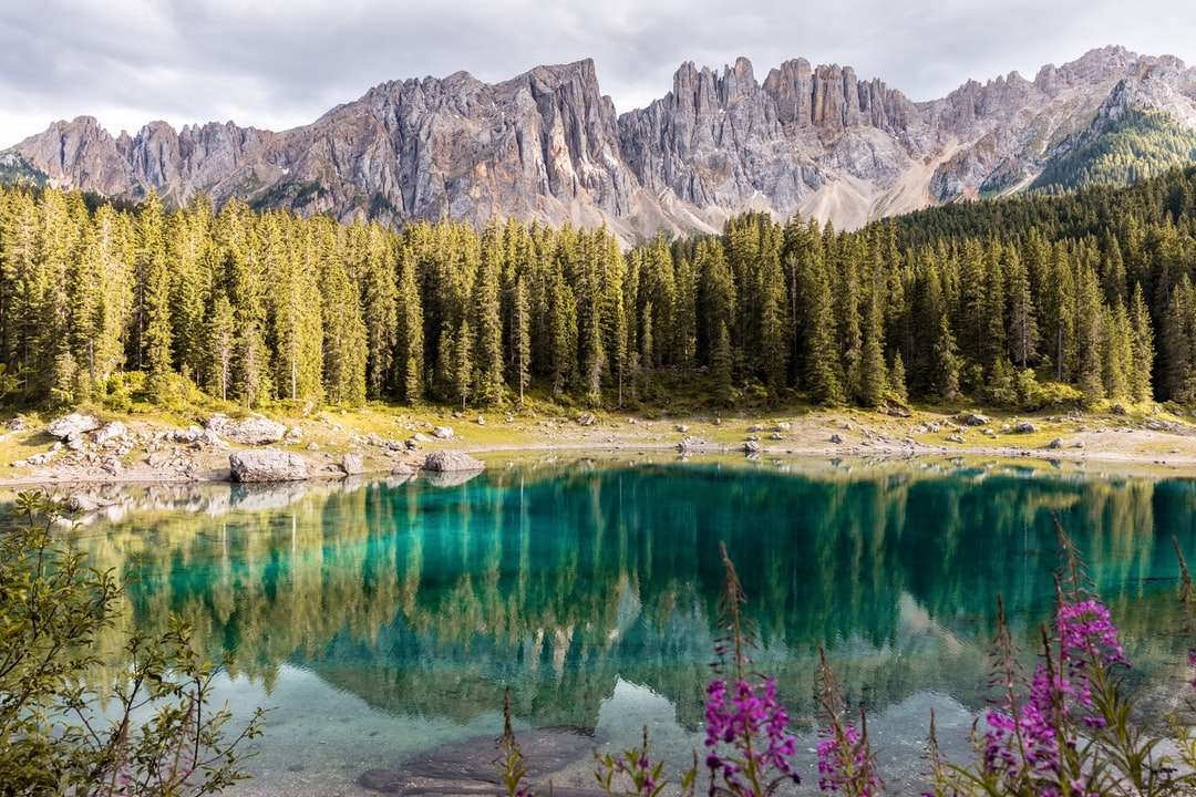 Specchio Fotografia di montagna e alberi vicino al corpo dell'acqua puzzle online