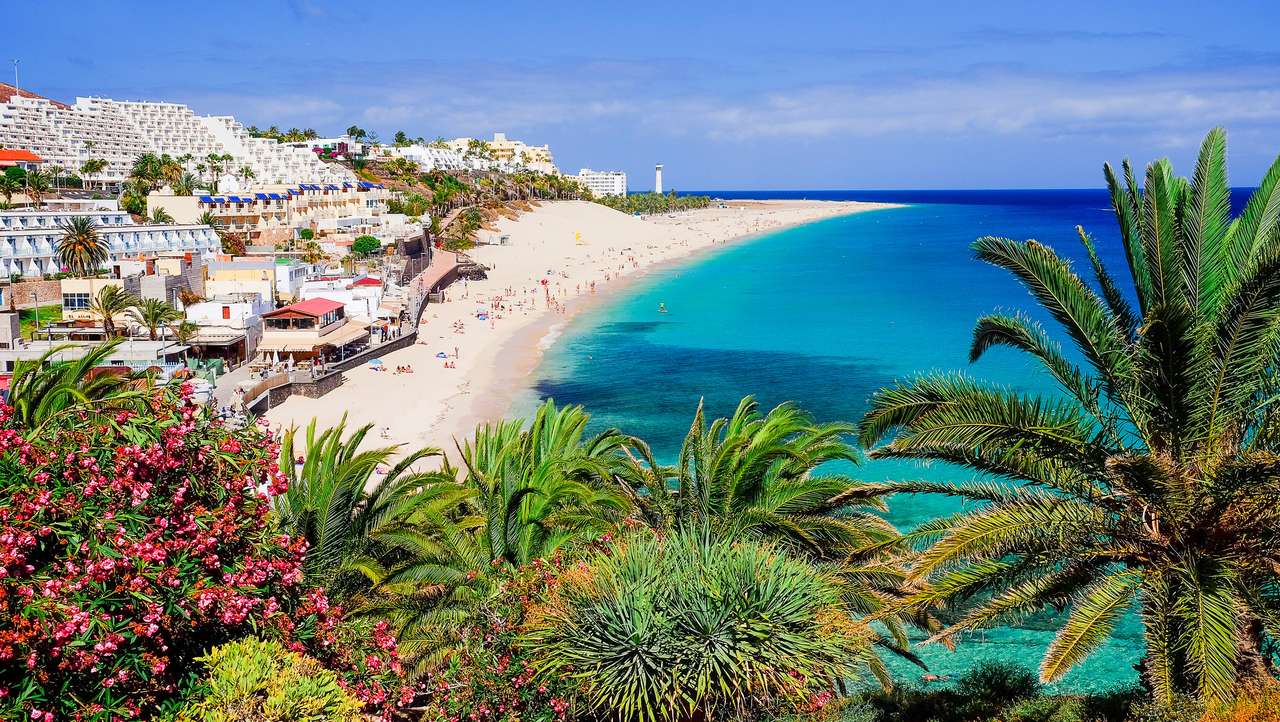 Stranden Playa de Morro Jable med gröna palmer, utsikt över staden och Atlantkusten. Plats Kanarieöarna Fuerteventura, Spanien. pussel på nätet