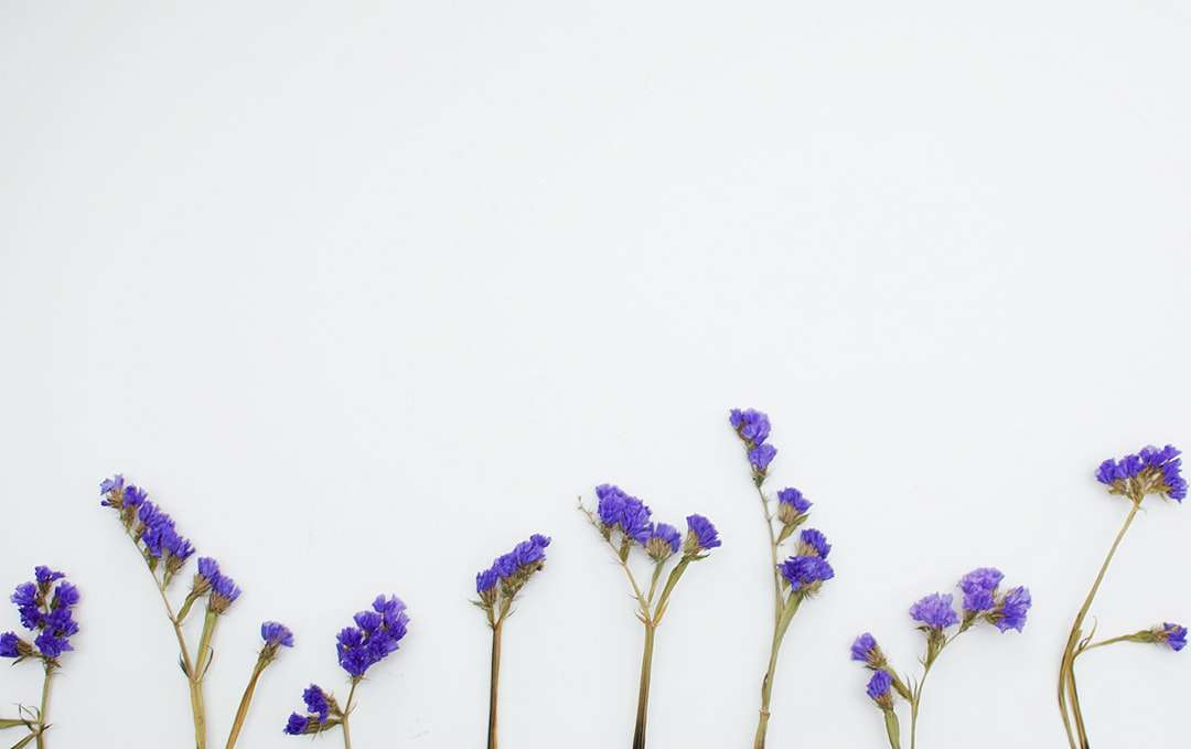 лилави цветни растения онлайн пъзел