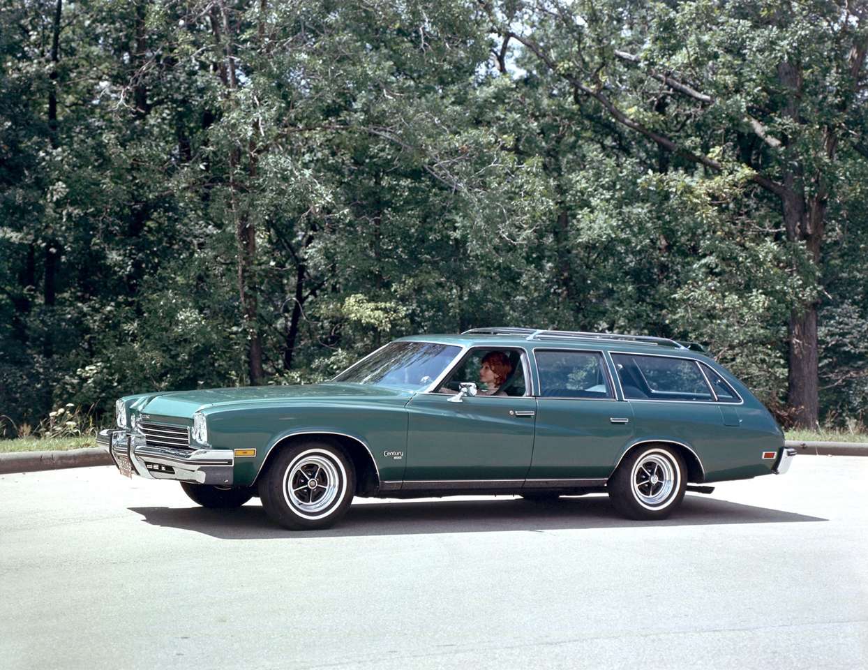 1973 Buick Century Luxus Station Wagon rompecabezas en línea
