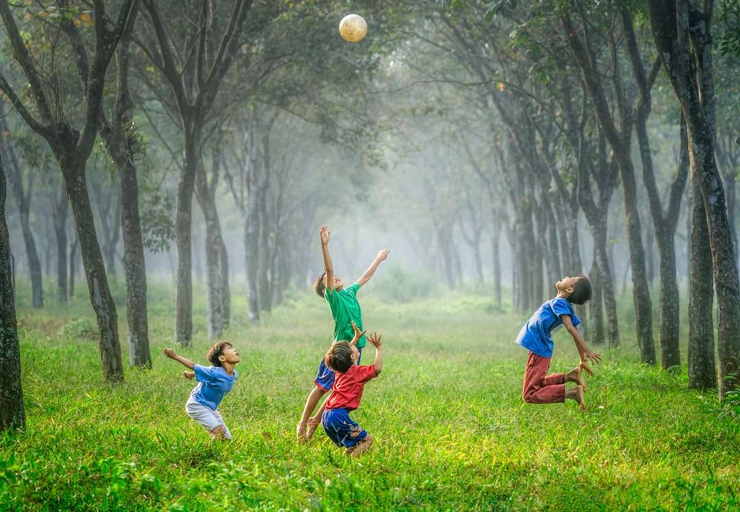 Fyra pojke spelar boll på grönt gräs Pussel online