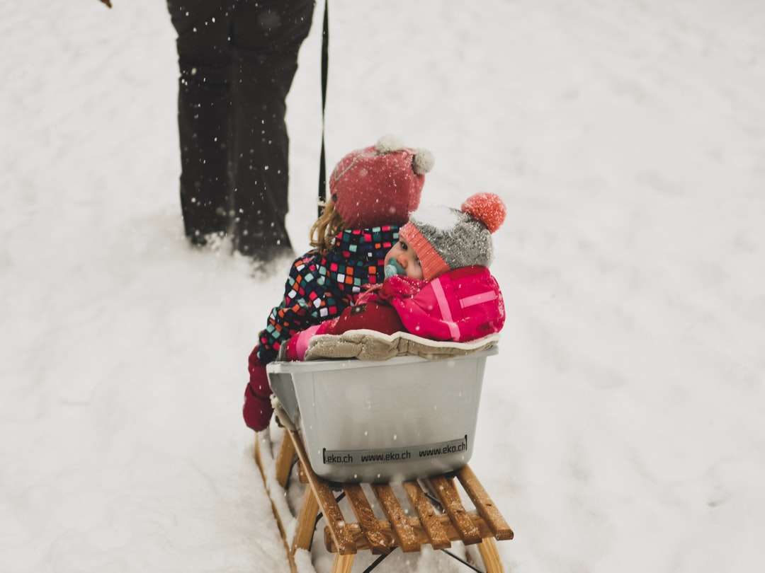 person pulling babies riding on white and brown sled jigsaw puzzle online