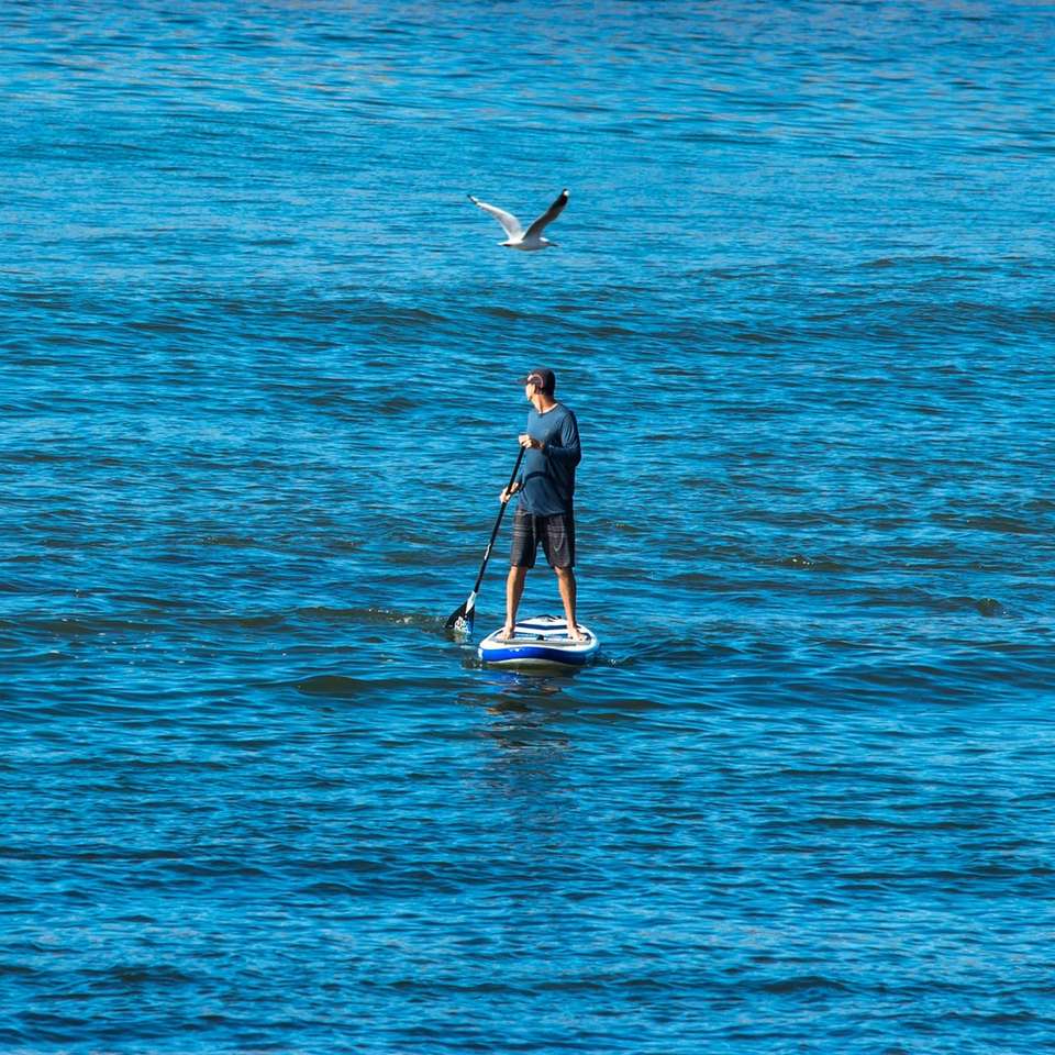 person standing on blue and white paddle board floating jigsaw puzzle online