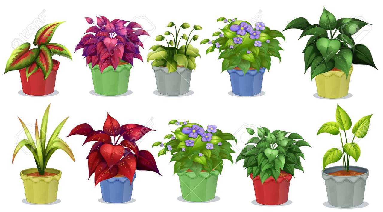 Растения типове онлайн пъзел
