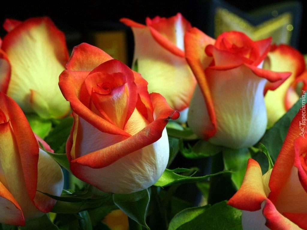 Δύο χρωματιστά τριαντάφυλλα online παζλ