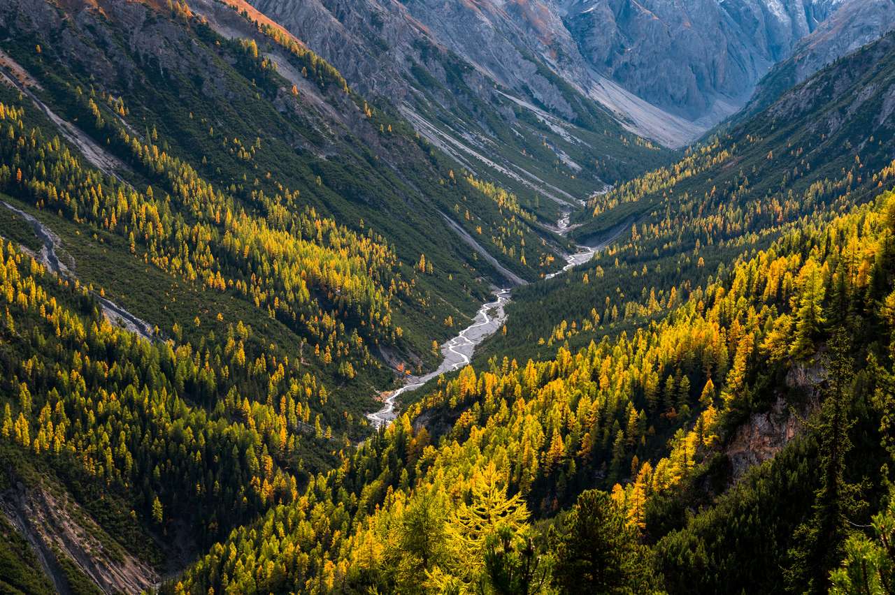 Val Cluozza i Swiss National Park pussel på nätet