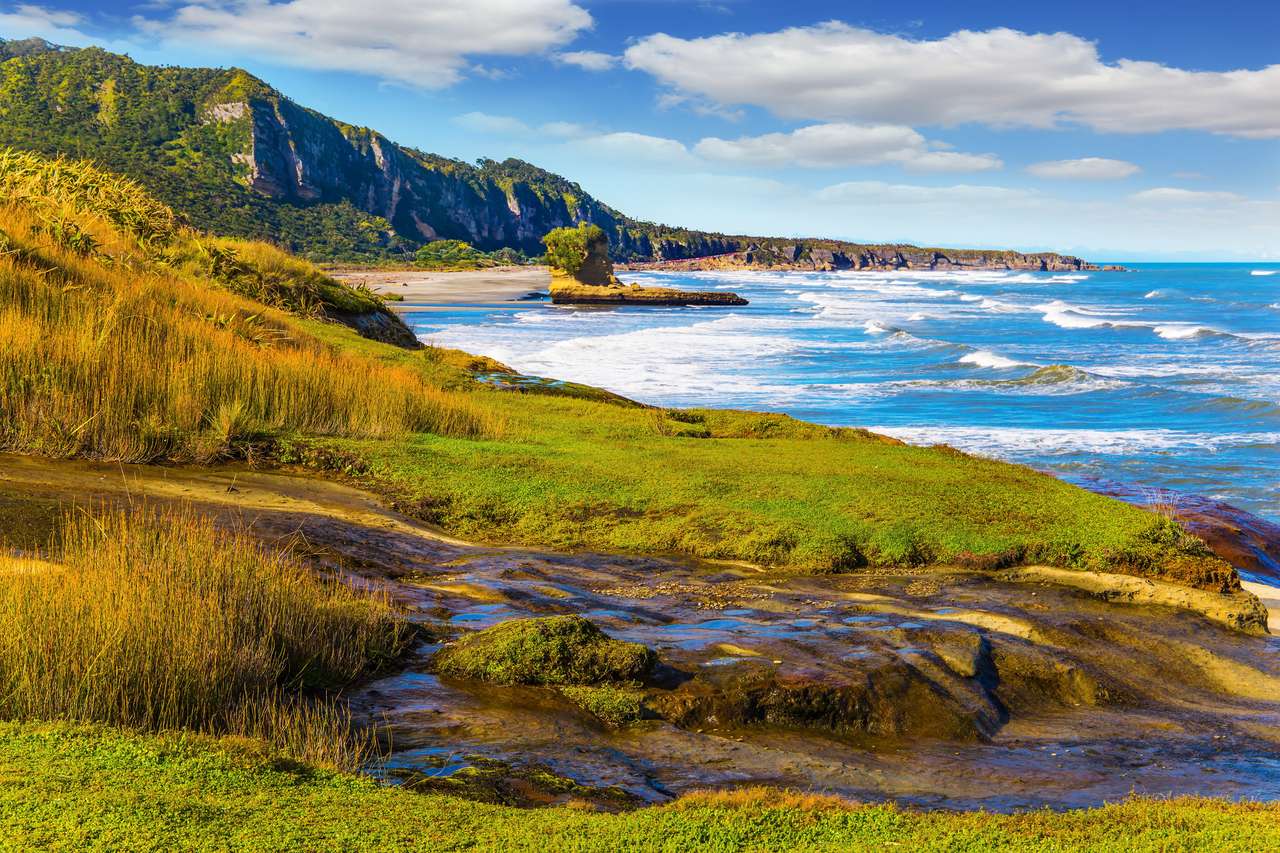 Pacific Coast of the South Island legpuzzel online