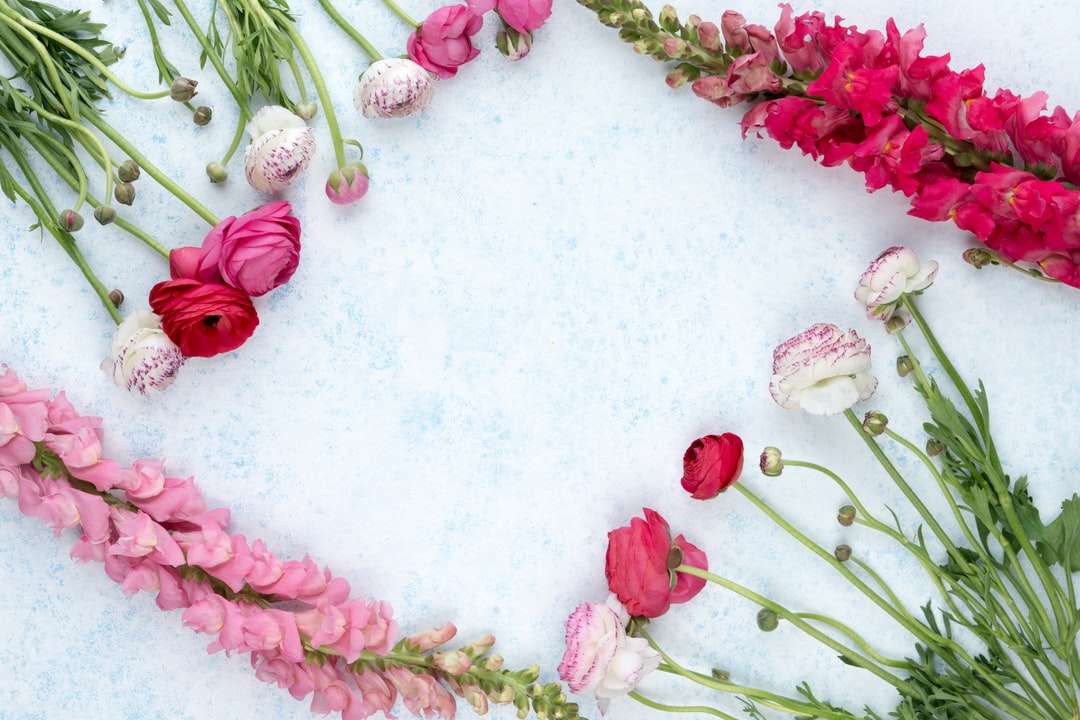 Асортирани цветя, разположени на бяла бетонна повърхност онлайн пъзел