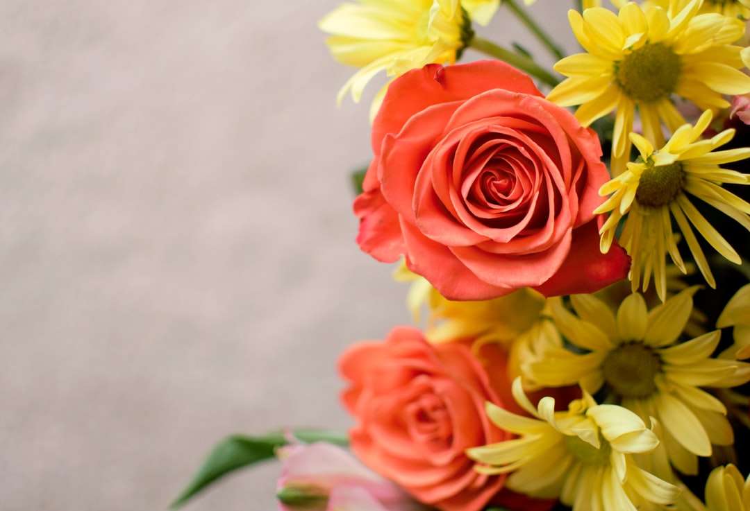 Selektiv fokusfotografi Röda och gula kronbladade blommor Pussel online
