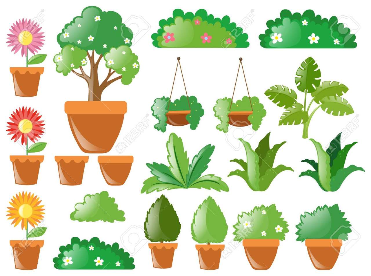Растения типове онлайн пъзел