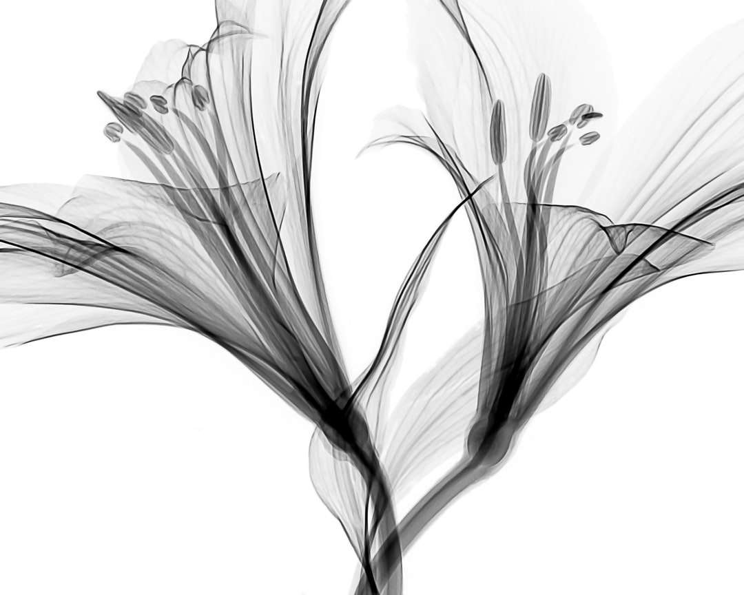 Ilustración de flores rompecabezas en línea