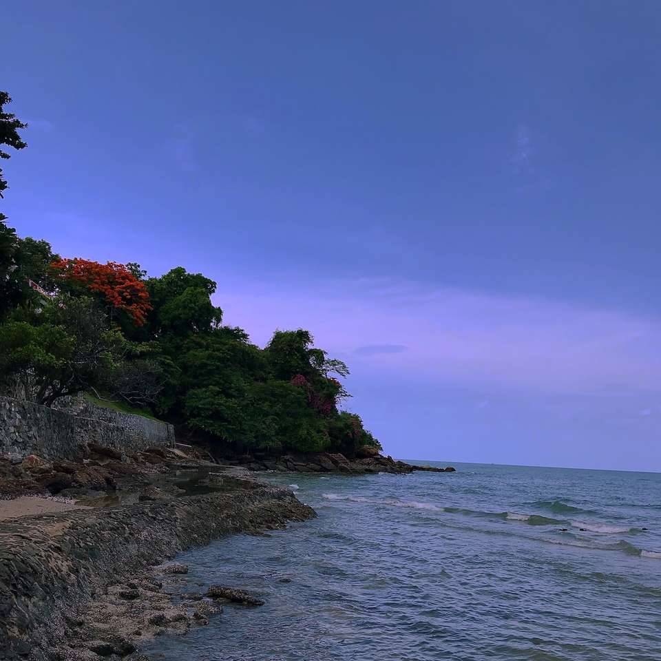 Zöld fák barna sziklás parton kék ég alatt kirakós online