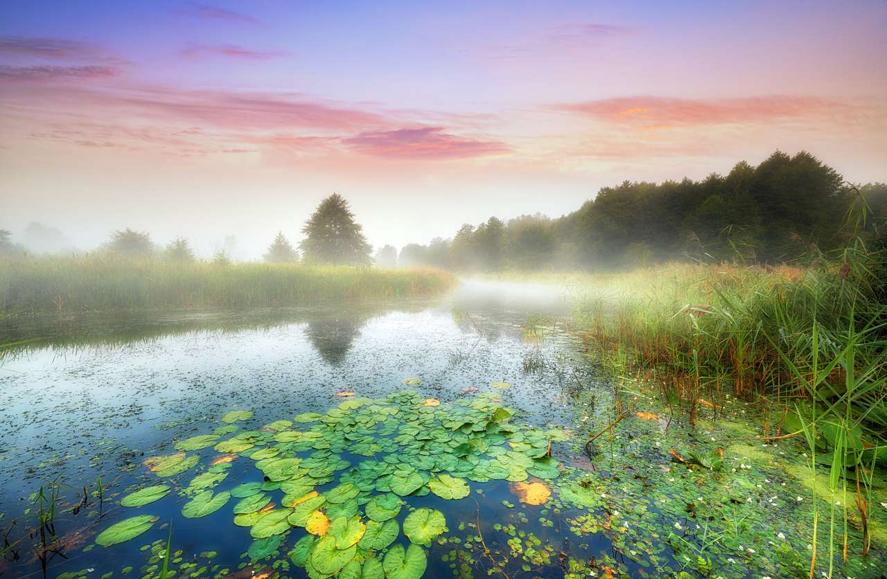 Krásné mlhavé ráno na břehu řeky skládačky online