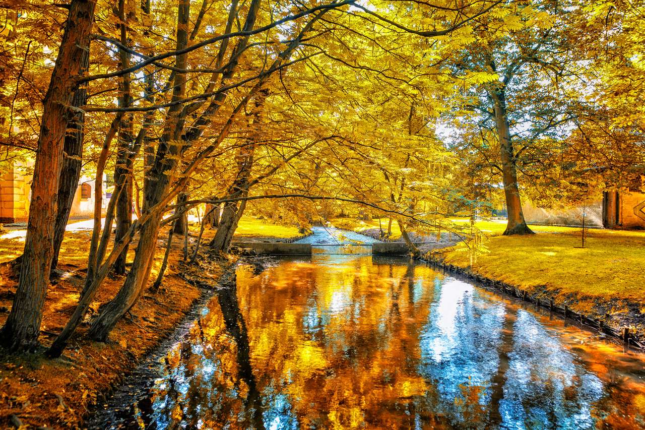 Желтый парк Гдыня на Польше пазл онлайн