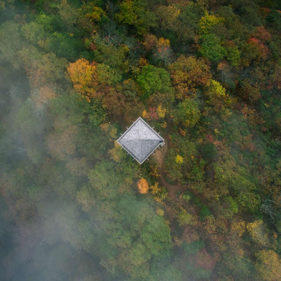 Vogelperspektive des Hauses in der Mitte des Waldes Puzzlespiel online