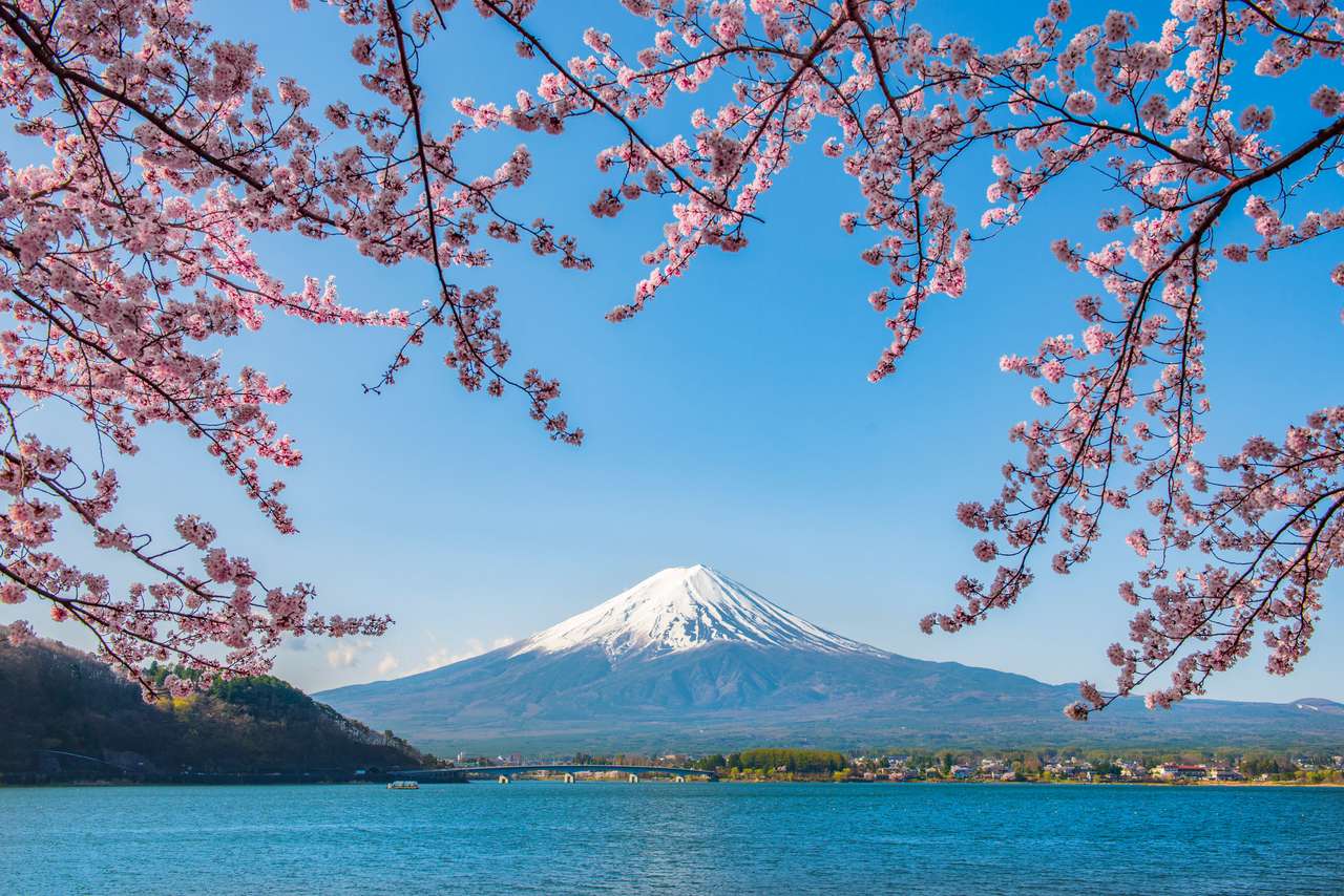 Fuji montanha e rosa ramos de sakura no lago Kawaguchiko, Japão quebra-cabeças online