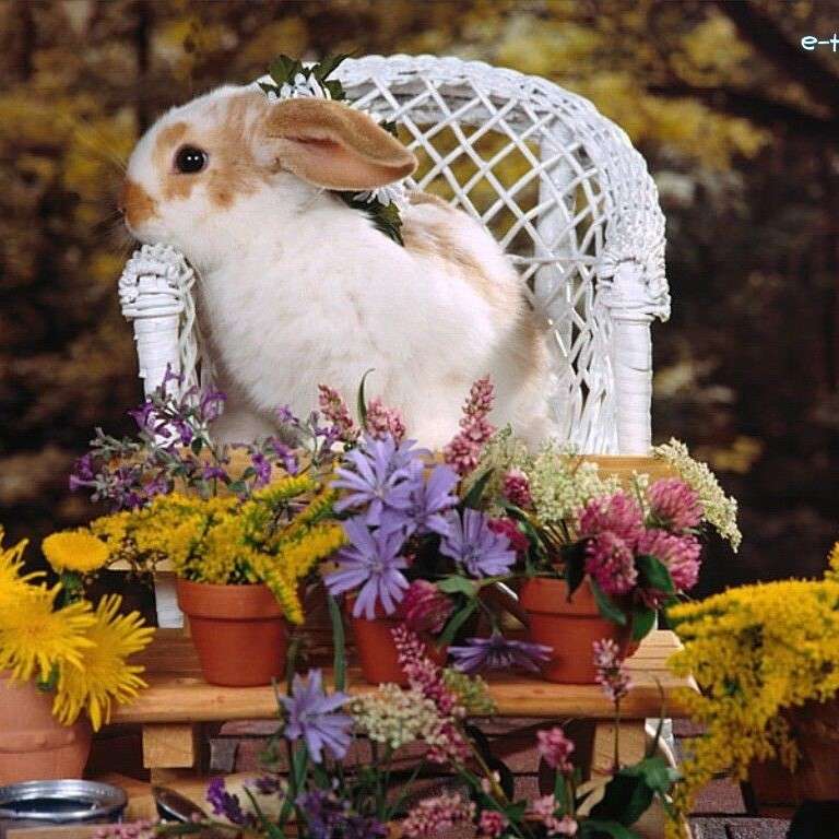 Кролик на кресле онлайн-пазл
