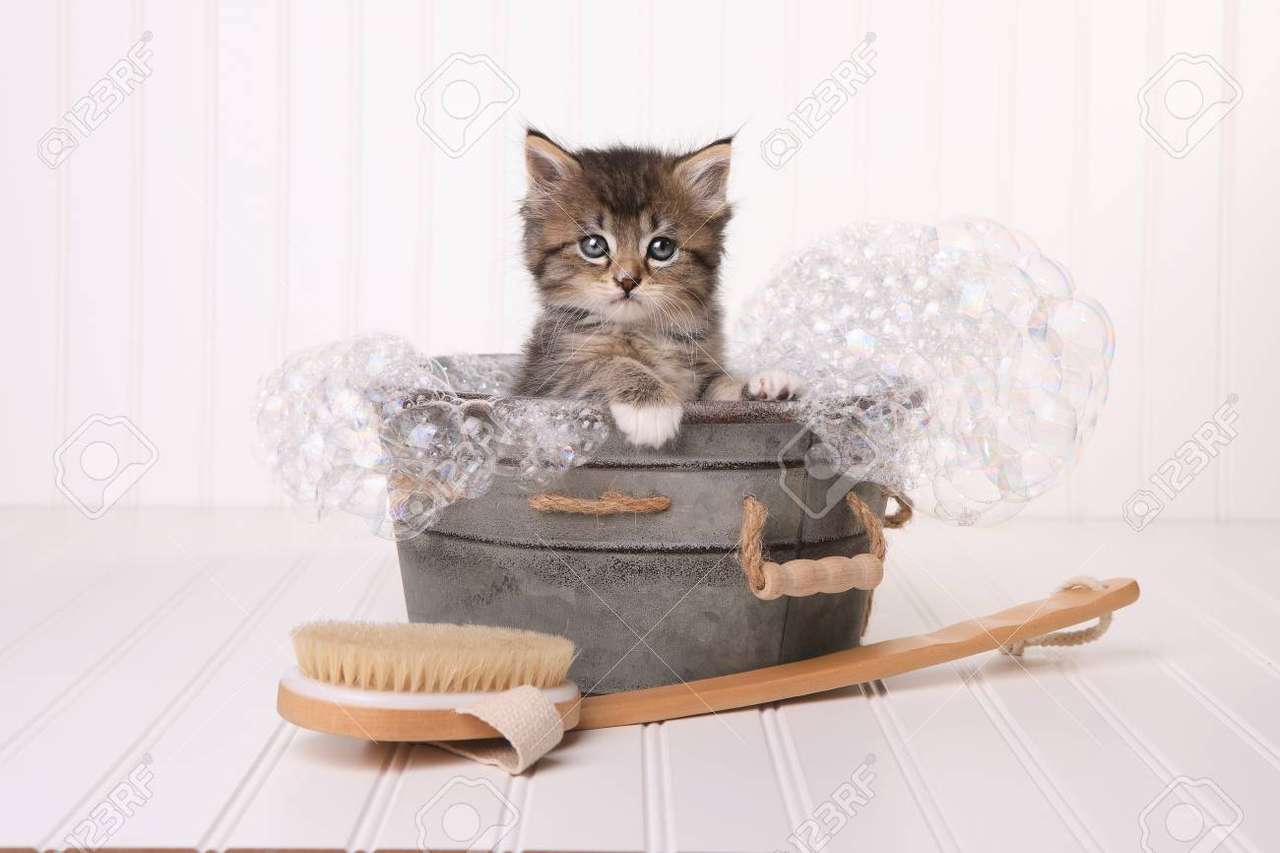 Коте в ваната онлайн пъзел