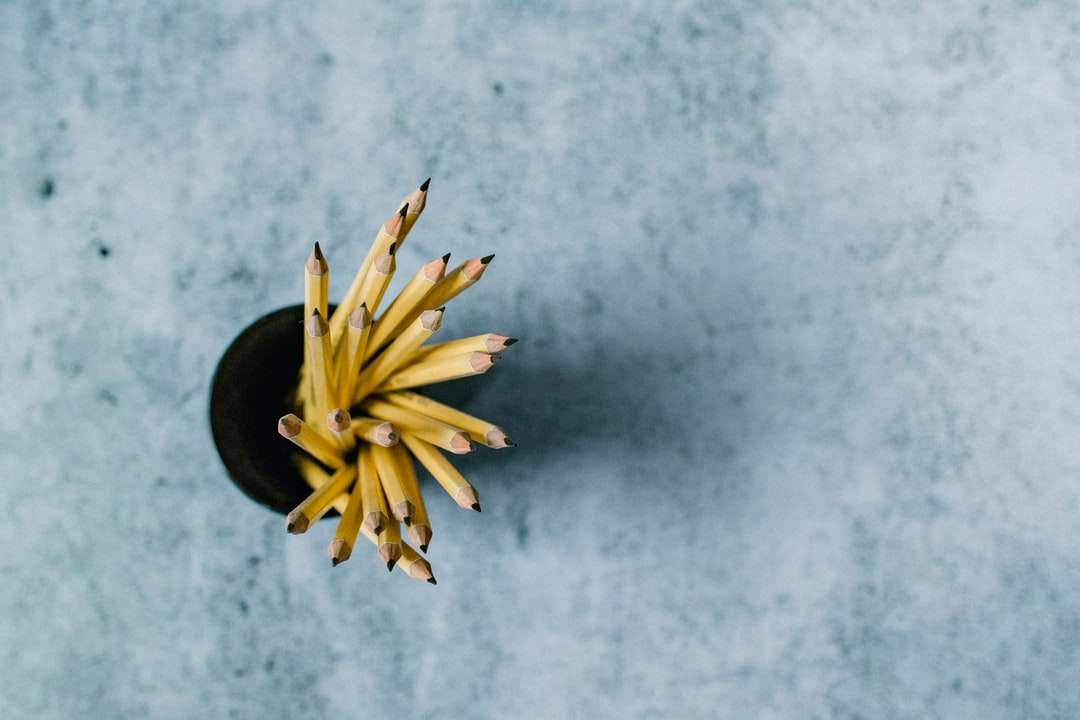 žlutý květ na šedém povrchu skládačky online