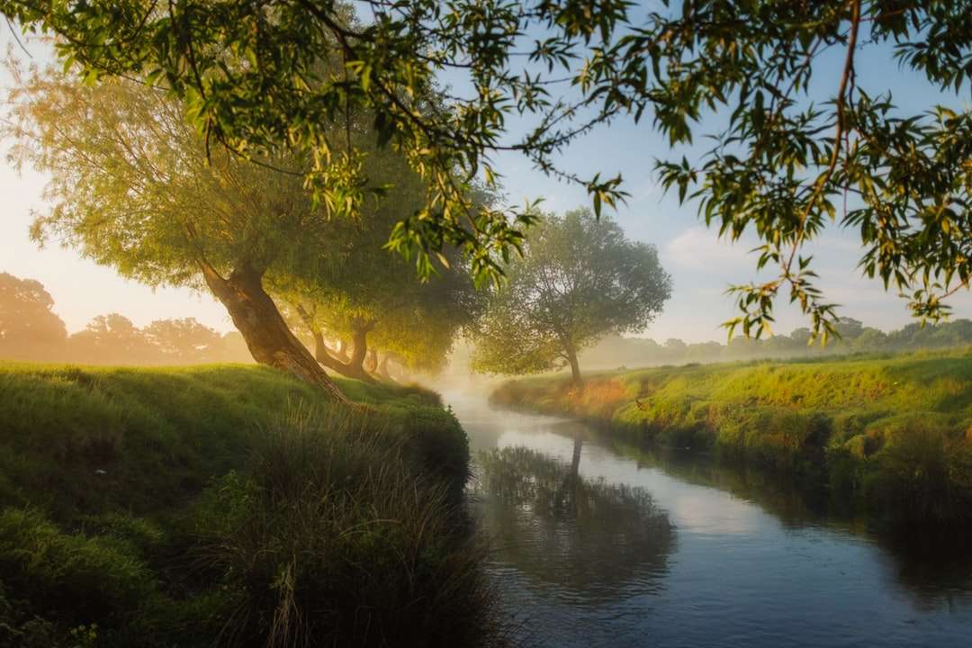 ποτάμι δίπλα σε δέντρα και γρασίδι online παζλ