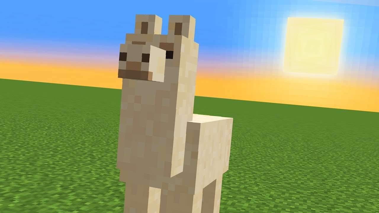 Vary Cool e Happy Llama puzzle online