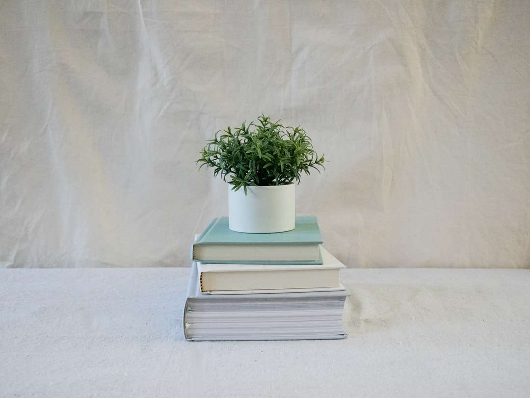Tres libros y plantas apiladas. rompecabezas en línea