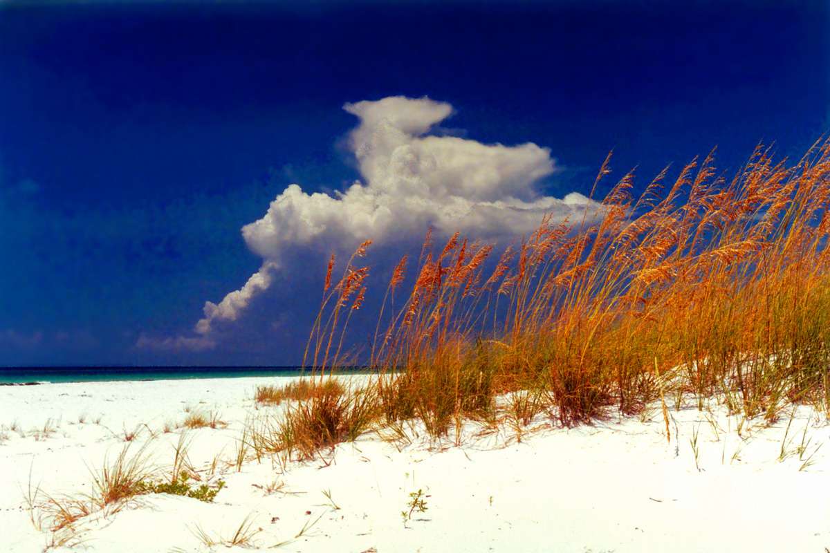 Pensacola Beach Florida. Puzzlespiel online