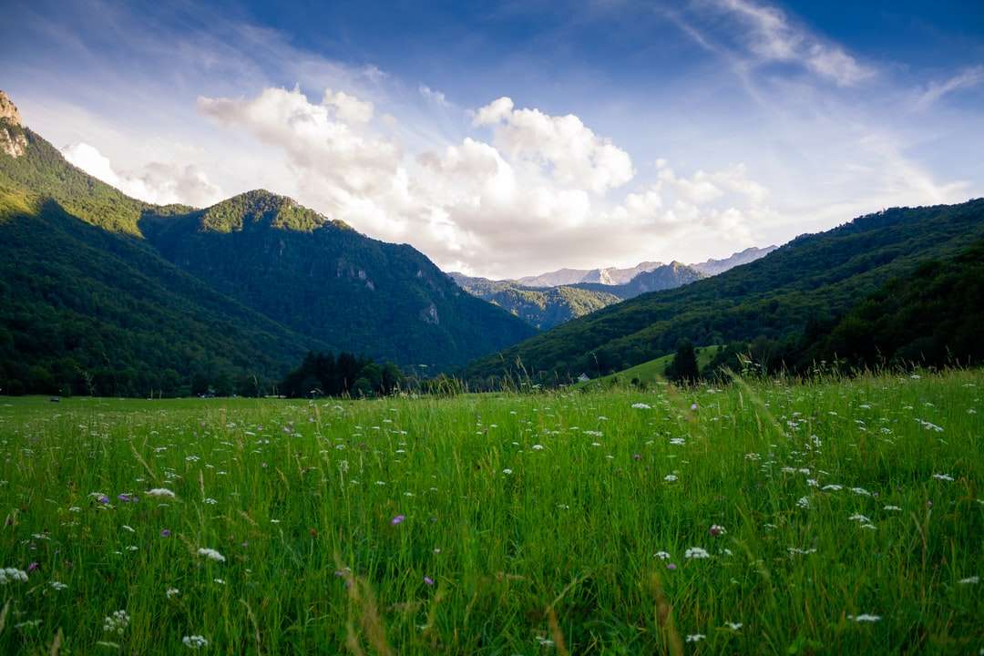 grass field and mountain ranges jigsaw puzzle online