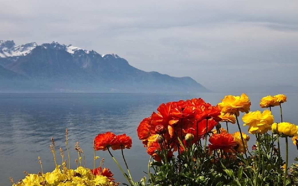 Schweizisk landskap. Pussel online