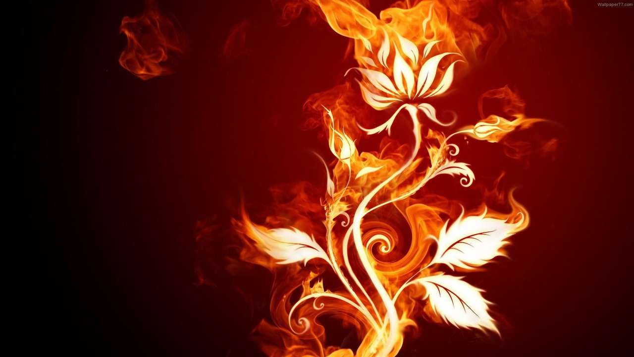 Flor de fogo puzzle online